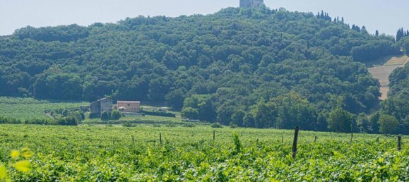 14 rooms Villa in Illasi, Italy No. 38974 34