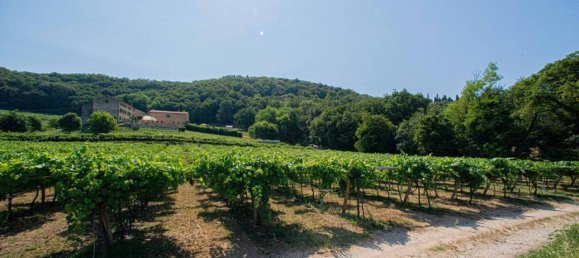 14 rooms Villa in Illasi, Italy No. 38974 30