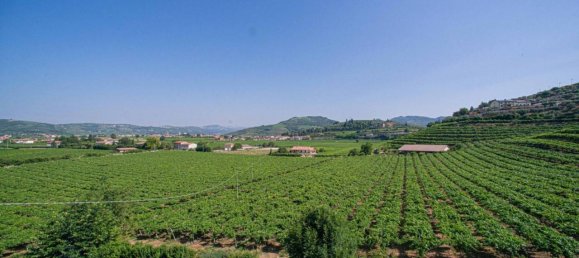 14 rooms Villa in Illasi, Italy No. 38974 14