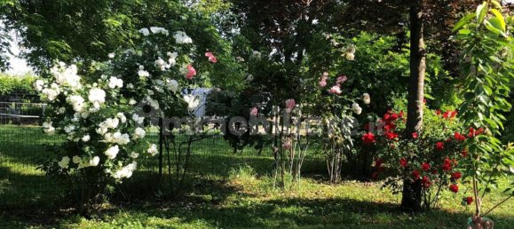 3 bedrooms House in Zenson di Piave, Italy No. 55073 29