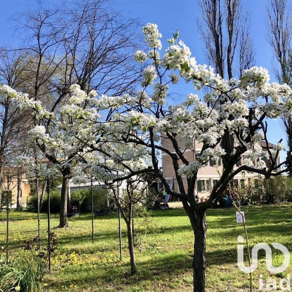 3 bedrooms House in Zenson di Piave, Italy No. 55073