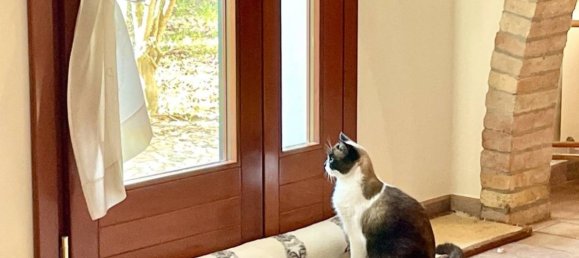 3 bedrooms House in Zenson di Piave, Italy No. 55073 18