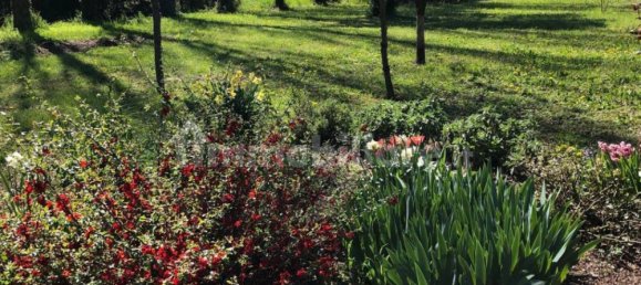 3 bedrooms House in Zenson di Piave, Italy No. 55073 31