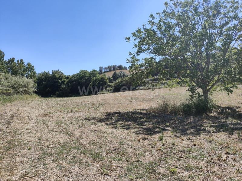 Terreno em Torres Vedras, Portugal 7760 m² N.º 65649
