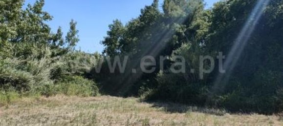 Terreno em Torres Vedras, Portugal 7760 m² N.º 65649 7