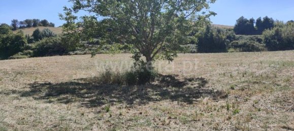 Terreno em Torres Vedras, Portugal 7760 m² N.º 65649 6