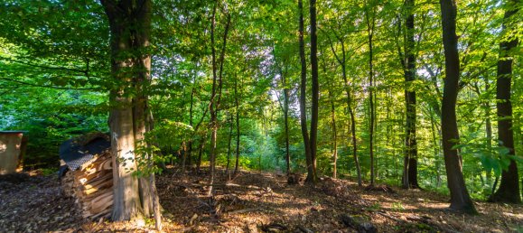  قطعة أرض في Stuttgart, Germany 1298متر مربع رقم 336275 3