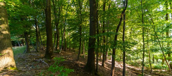  قطعة أرض في Stuttgart, Germany 1298متر مربع رقم 336275 2