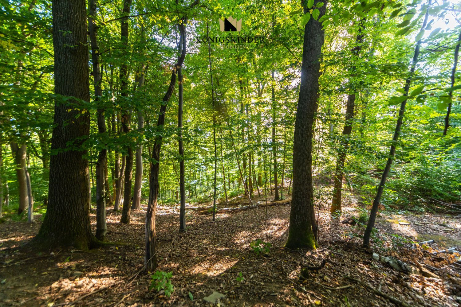  قطعة أرض في Stuttgart, Germany 1298متر مربع رقم 336275