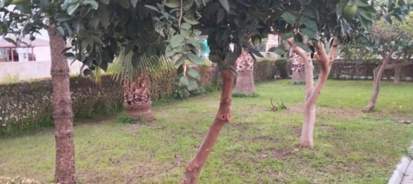 Apartment 2+1 in Mahmutlar, Turkey No. 33605 6