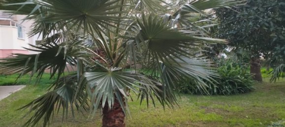 Apartment 2+1 in Mahmutlar, Turkey No. 33605 4