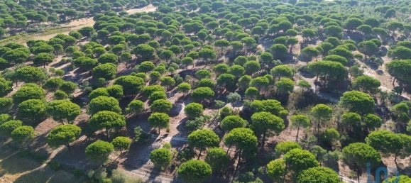  قطعة أرض في Montargil, Portugal 770000متر مربع رقم 130308 20