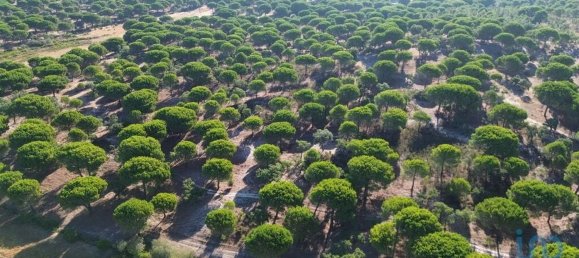  قطعة أرض في Montargil, Portugal 770000متر مربع رقم 130308 21