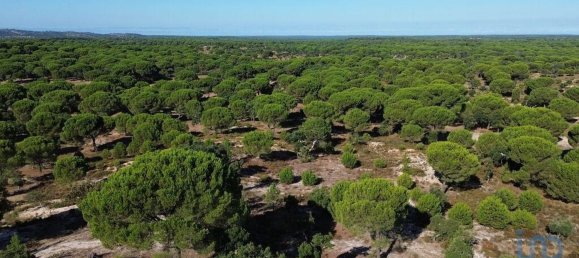  قطعة أرض في Montargil, Portugal 770000متر مربع رقم 130308 22