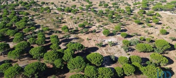  قطعة أرض في Montargil, Portugal 770000متر مربع رقم 130308 16