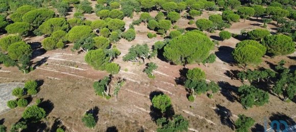  قطعة أرض في Montargil, Portugal 770000متر مربع رقم 130308 2