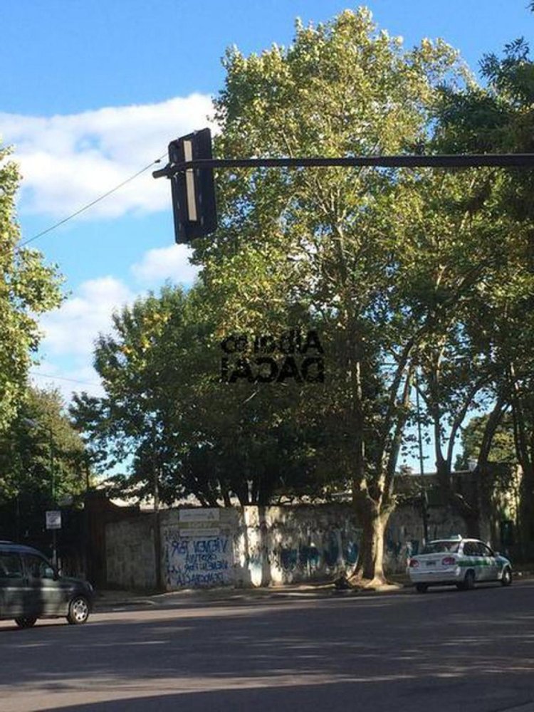  Land in Campo Creado, Argentina No. 42833