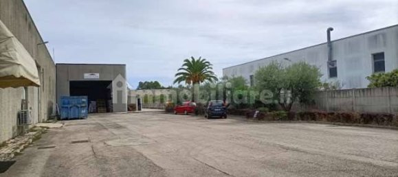 استوديو في Monteprandone, Italy رقم 363811 15