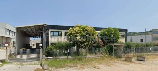 استوديو في Monteprandone, Italy رقم 363811