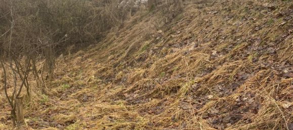 Grundstück in Hochsauerlandkreis, Germany, Nr. 268533 3