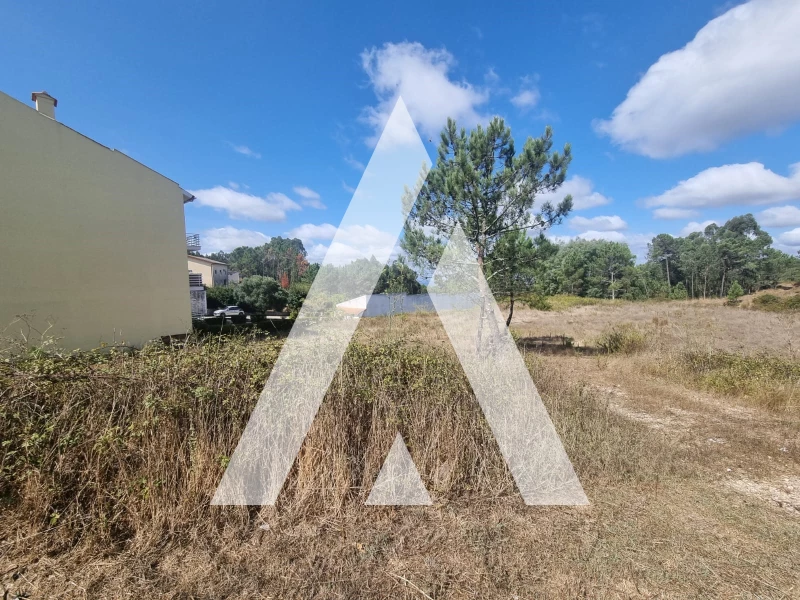  Land in Figueira de Lorvao, Portugal No. 331820