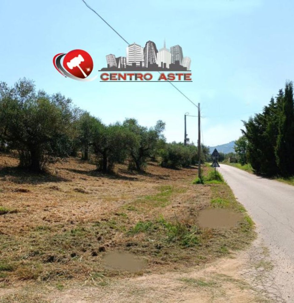 Terrain à Collecorvino, Italy 10306m² No. 289265