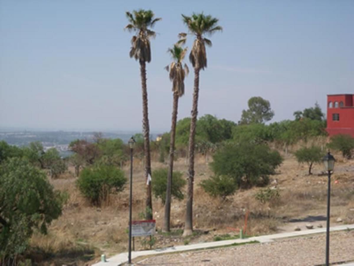 Дом с 3 спальнями в Гуанахуато, Мексика № 169288