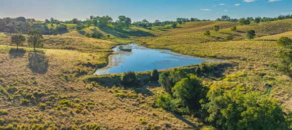 2 bedrooms House in Mothar Mountain, Australia No. 556 9
