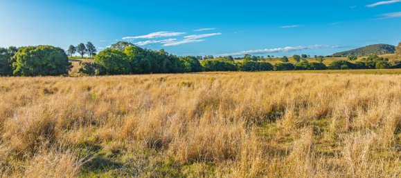2 bedrooms House in Mothar Mountain, Australia No. 556 24