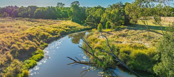 2 bedrooms House in Mothar Mountain, Australia No. 556 21