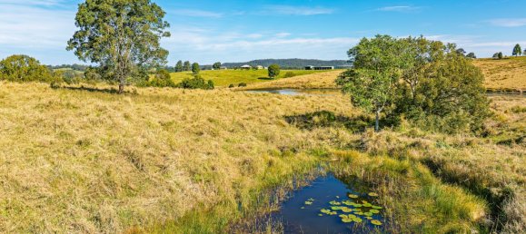 2 bedrooms House in Mothar Mountain, Australia No. 556 29