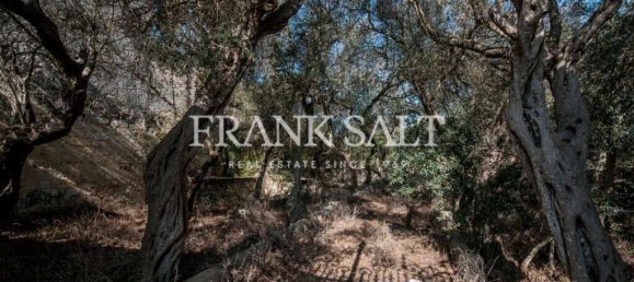 5 bedrooms Hotel in Zebbug, Malta No. 1213 6