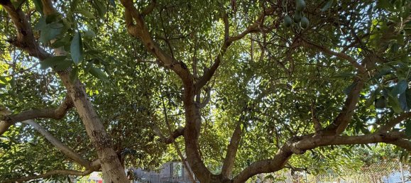 200m² Land in Marbella, Spain No. 151049 32