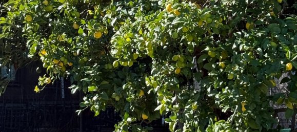 200m² Land in Marbella, Spain No. 151049 33