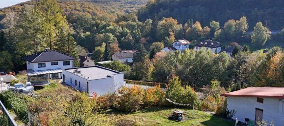 Земельный участок в Пресбаум, Австрия № 62463 4