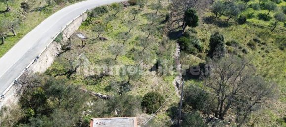 28m² Warehouse in Trentinara, Italy No. 130634 10