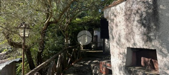 5 chambres Villa à Magliano Sabina, Italy No. 353695 30