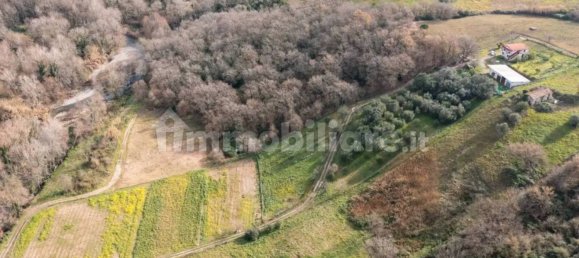 2 chambres Maison à Ceraso, Italy No. 111437 2