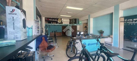 235m² Commercial property in Avigliana, Italy No. 176810 2