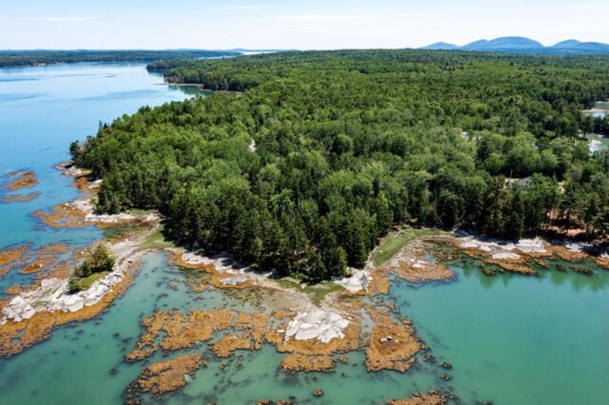  Land in Lamoine, USA No. 541453