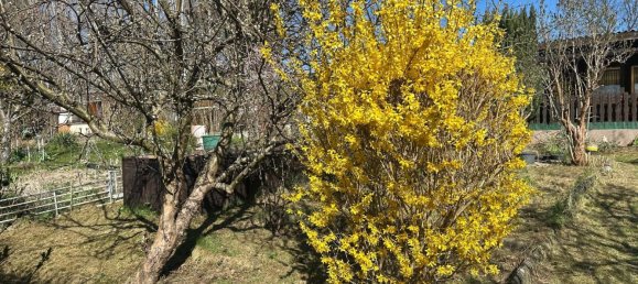 Land in Britz, Germany No. 372170 16