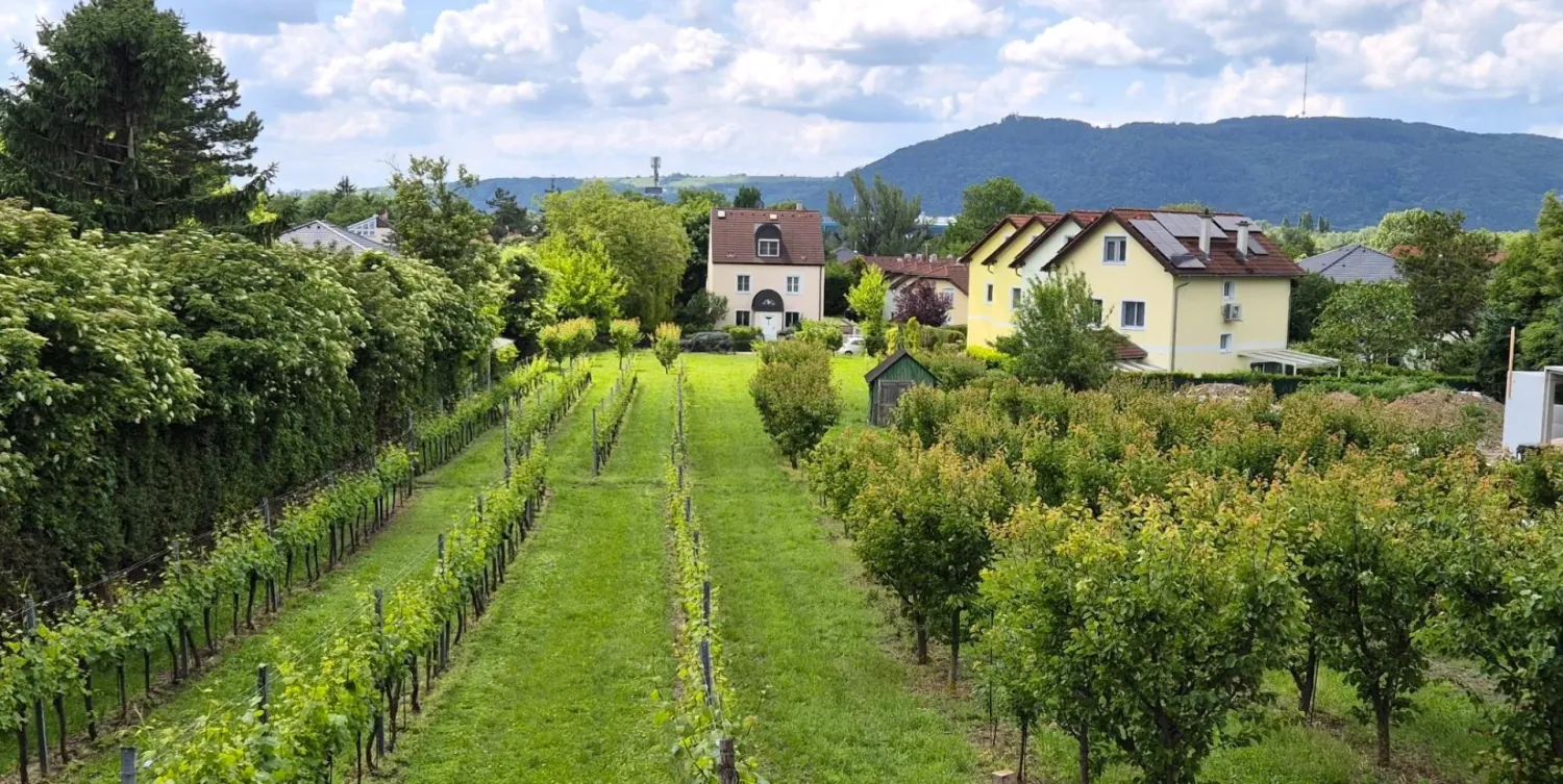 1335m² Land in Langenzersdorf, Austria No. 16841