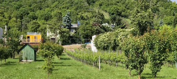 1335m² Land in Langenzersdorf, Austria No. 16841 2