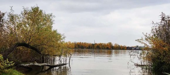 Grundstück in Brandenburg an der Havel, Germany, Nr. 57166 4