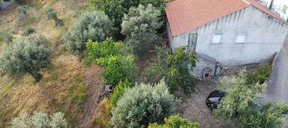 2 Schlafzimmer Haus in Olalhas, Portugal, Nr. 20467 5