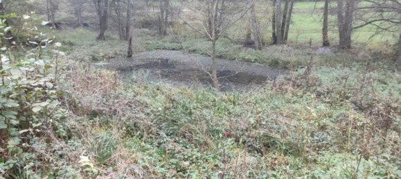 1350m² Land in Walschbronn, France No. 153002 2