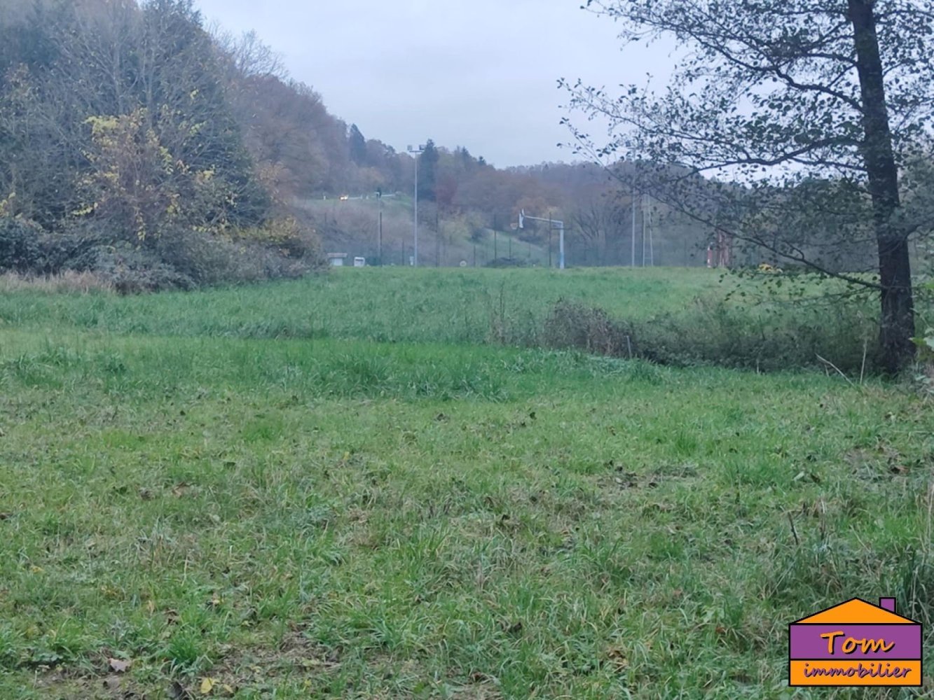 1350m² Land in Walschbronn, France No. 153002