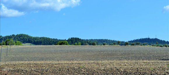 13000m² Hotel in Chalkidiki, Greece No. 6081 2