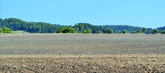 13000m² Hotel in Chalkidiki, Greece No. 6081 4