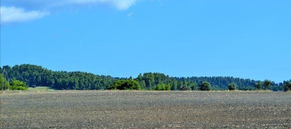 13000m² Hotel in Chalkidiki, Greece No. 6081 5